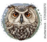owl. realistic  artistic  color ... | Shutterstock .eps vector #1724202073
