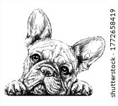 french bulldog. sticker on the... | Shutterstock .eps vector #1772658419