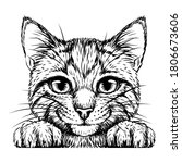 kitten. wall sticker. black and ... | Shutterstock .eps vector #1806673606