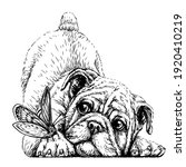 bulldog. wall sticker. graphic  ... | Shutterstock .eps vector #1920410219