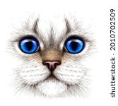 cat. creative design. color... | Shutterstock .eps vector #2010702509