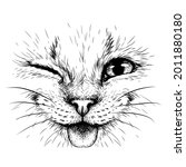 Funny Cat. Creative Design....