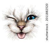 funny cat. creative design.... | Shutterstock .eps vector #2011882520