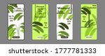 fresh leaves story banner... | Shutterstock .eps vector #1777781333
