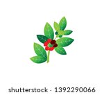 coffee plant  isolated coffee... | Shutterstock .eps vector #1392290066