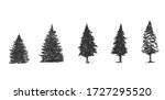 pine sketch side view hand draw ... | Shutterstock .eps vector #1727295520