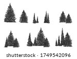 pine sketch side view hand draw ... | Shutterstock .eps vector #1749542096