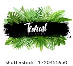 tropical leaves horizontal... | Shutterstock .eps vector #1720451650