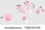 cherry blossom pattern.sakura... | Shutterstock .eps vector #748519249