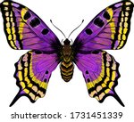Butterfly Purple Yellow Morph...