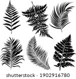 Palm Leaves Set Pattern Black...