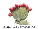 Prickly Pear Cactus With Many...