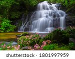 Mun dang or Man dang waterfall with a pink flower foreground in Rain Forest at Phitsanulok Province, Thailand