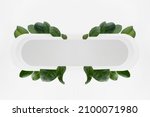 Fresh summer holiday abstract symmetric figure of white rounded horizontal rectangle stripe with tropical green leaves, blank frame for design, text, branding, advertising in eco simple modern style.