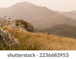 Idyllic mountain landscape in sunny day in golden sunlight of summer with silhouette of ridges, rocks on horizon and yellow dry grass meadow with flowers and fluffy spikelets in valley.