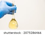 Small photo of Scientist in blue rubber holding a yellow solution in the flask on the white background with copy space. Urea analysis. Clinical, toxicological and forensic analysis.