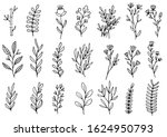 collection forest fern... | Shutterstock .eps vector #1624950793