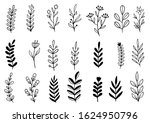 collection forest fern... | Shutterstock .eps vector #1624950796