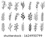 collection forest fern... | Shutterstock .eps vector #1624950799