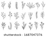 collection forest fern... | Shutterstock .eps vector #1687047376