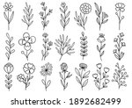 collection forest fern... | Shutterstock .eps vector #1892682499