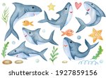 Set Of Watercolor Sharks...