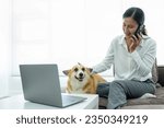 Small photo of Woman in casual clothes sits on the floor at home, immersed in her work and also takes moments to play and bond with her pet dog, finding joy in productivity and companionship.