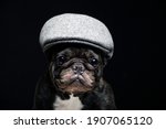 image of dog cap dark background 