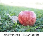 Small photo of I love apple.