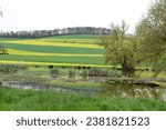 Small photo of swampland in springtime with a lake