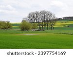 Small photo of green swampland with yellow fields on the hill