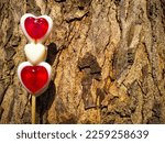 Small photo of A red and white heart shape lollipop candy on tree wooden background. Concept for Valentines Day, templet, Business, banner