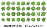 trees top view. different... | Shutterstock .eps vector #1911425149