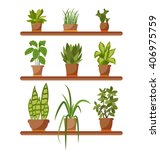 set of house plant isolated... | Shutterstock .eps vector #406975759