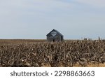 Small photo of Concordia, Mo USA May 3rd 2023 A Barn Advertisement for Busch Light Reads Bush Light #forthefarmers located on farmland outside of Concordia, Mo. Busch light is a long time supporter of farmers.
