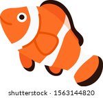 cute flat color orange clownfish | Shutterstock .eps vector #1563144820
