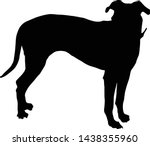 Blue Lacy Dog  Silhouette ...