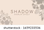 shadow overlay effect.... | Shutterstock .eps vector #1659233536