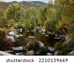 Pond surrounded by rocks and lush trees at the John Denver Sanctuary in Aspen, Colorado
