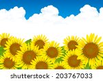 sunflowers | Shutterstock .eps vector #203767033