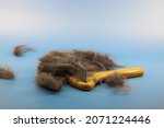 Small photo of yellow-orange cat hairbrush on blue-white background, many brown hairs on the table and on the brush, cats need to be groomed regularly to keep the coat clean, social cohesion of animals and humans