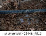 Small photo of Drip irrigation or trickle irrigation is a type of micro-irrigation system that has the potential to save water and nutrients by allowing water to drip slowly to the roots of plants, either from above