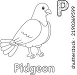 Pigeon Alphabet Abc Coloring...