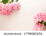 Feminine Pink Hydrangea Flower...