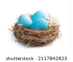 Three blue eggs in a nest isolated on a white background. Side view, close-up. Easter concept, Easter eggs.