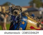 Small photo of A SMALL BLACK CURLY HAIRED DOG IN A COSTUME IN A CANNON AT THE DECKERS DOG O WEEN EVENT IN LA JOLLA CALIFORNIA