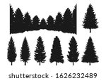 pine tree and forest... | Shutterstock . vector #1626232489