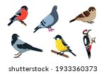 City Birds Icons Set. Bullfinch ...