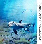 Small photo of Underwater world. Images for self-leveling 3d floor. Dolphin. Corals. Top view.