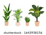 pot plant set. large natural... | Shutterstock .eps vector #1643938156